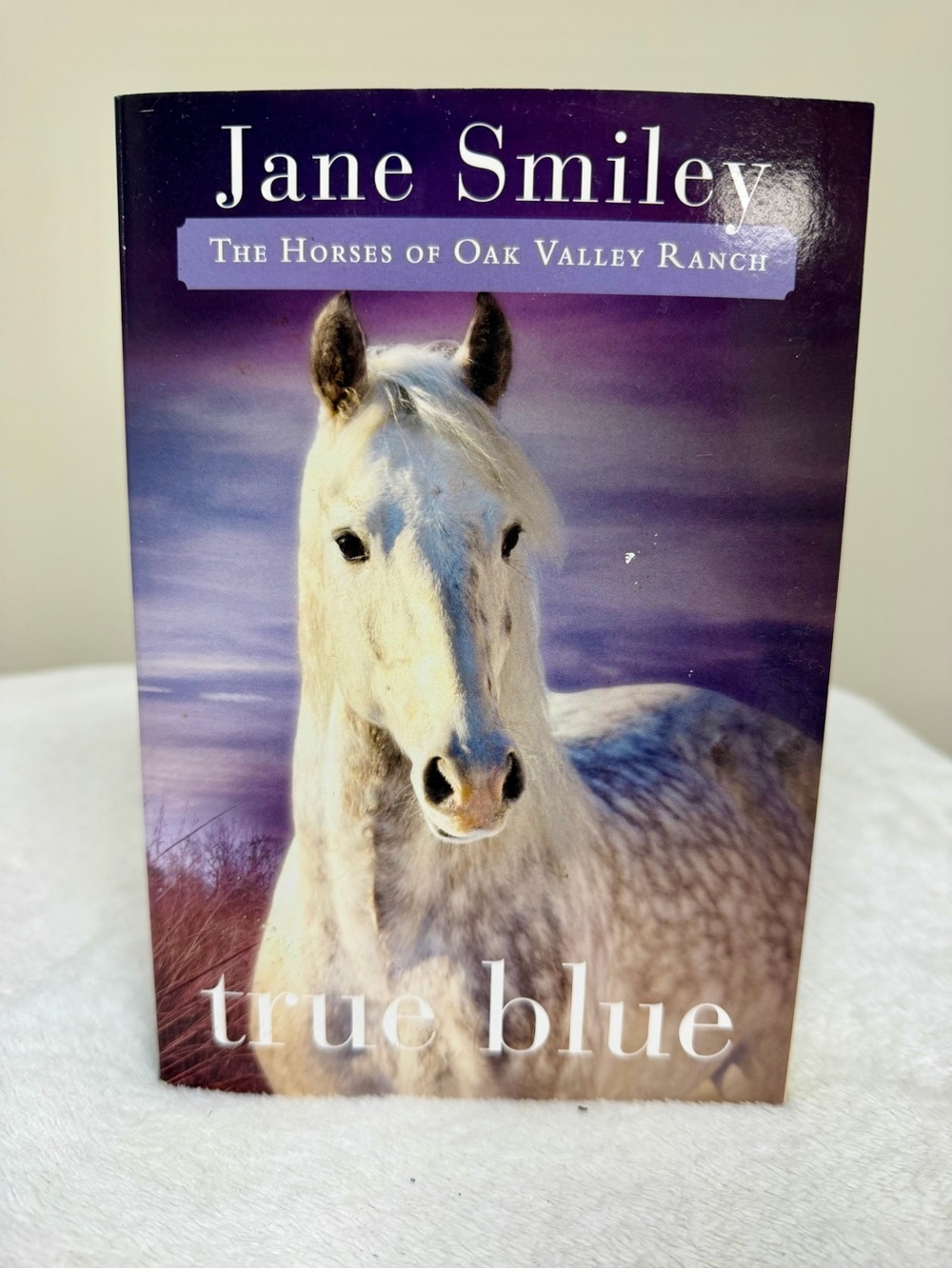 True Blue By Jane Smiley